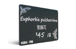 Example of price tags for flowers printed by Edikio Price Tag solution – Edikio testimonial Example of price tags for flowers printed by Edikio Price Tag solution – Edikio testimonial
